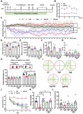 Platycodin D and voluntary running synergistically ameliorate memory deficits in 5 × FAD mice via mediating neuromodulation and neuroinflammation